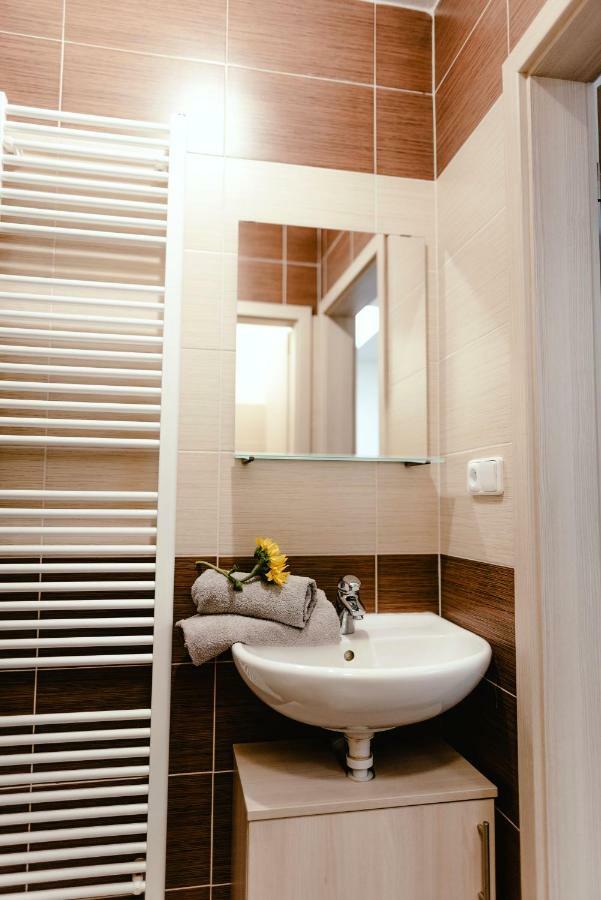 Apartment Zelny Trh 40