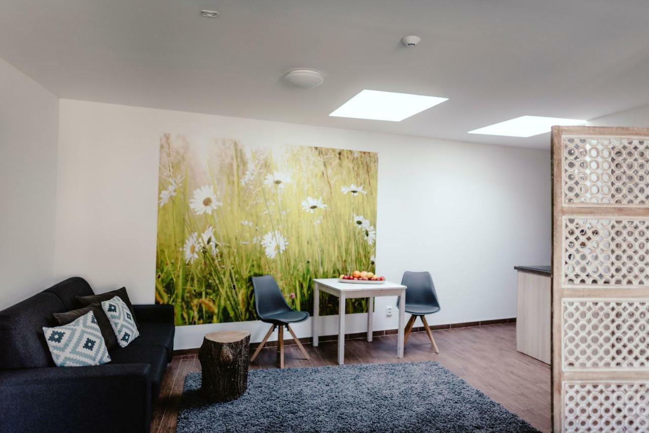 Zelny Trh 40 Apartment Brno