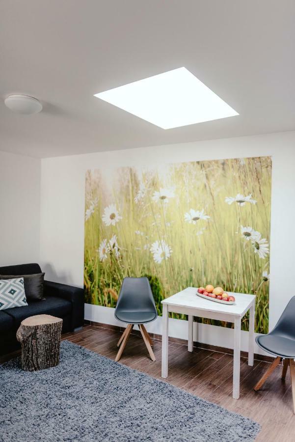Zelny Trh 40 Apartment *